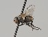  ( - KWi-484)  @11 [ ] CreativeCommons - Attribution Non-Commercial (2018) Marko Mutanen University of Oulu