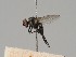  ( - KWi-485)  @11 [ ] CreativeCommons - Attribution Non-Commercial (2018) Marko Mutanen University of Oulu