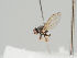  ( - KWi-488)  @11 [ ] CreativeCommons - Attribution Non-Commercial (2018) Marko Mutanen University of Oulu
