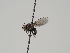  ( - KWi-494)  @11 [ ] CreativeCommons - Attribution Non-Commercial (2018) Marko Mutanen University of Oulu