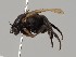  ( - KWi-507)  @11 [ ] CreativeCommons - Attribution Non-Commercial (2018) Marko Mutanen University of Oulu