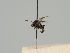  ( - KWi-510)  @11 [ ] CreativeCommons - Attribution Non-Commercial (2018) Marko Mutanen University of Oulu