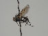  ( - KWi-532)  @13 [ ] CreativeCommons - Attribution Non-Commercial (2018) Marko Mutanen University of Oulu