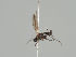  ( - KWi-574)  @11 [ ] CreativeCommons - Attribution Non-Commercial (2018) Marko Mutanen University of Oulu