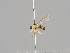  ( - KWi-604)  @11 [ ] CreativeCommons - Attribution Non-Commercial (2018) Marko Mutanen University of Oulu
