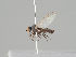  ( - KWi-665)  @11 [ ] CreativeCommons - Attribution Non-Commercial (2018) Marko Mutanen University of Oulu