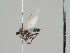  ( - KWi-666)  @11 [ ] CreativeCommons - Attribution Non-Commercial (2018) Marko Mutanen University of Oulu