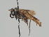  ( - KWi-671)  @11 [ ] CreativeCommons - Attribution Non-Commercial (2018) Marko Mutanen University of Oulu