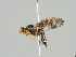  ( - KWi-686)  @11 [ ] CreativeCommons - Attribution Non-Commercial (2018) Marko Mutanen University of Oulu