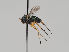  ( - KWi-693)  @13 [ ] CreativeCommons - Attribution Non-Commercial (2018) Marko Mutanen University of Oulu