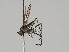  ( - KWi-695)  @11 [ ] CreativeCommons - Attribution Non-Commercial (2018) Marko Mutanen University of Oulu