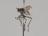  ( - KWi-696)  @11 [ ] CreativeCommons - Attribution Non-Commercial (2018) Marko Mutanen University of Oulu