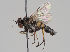  ( - KWi-725)  @11 [ ] CreativeCommons - Attribution Non-Commercial (2018) Marko Mutanen University of Oulu