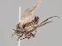  ( - KWi-733)  @11 [ ] CreativeCommons - Attribution Non-Commercial (2018) Marko Mutanen University of Oulu