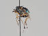  ( - KWi-734)  @11 [ ] CreativeCommons - Attribution Non-Commercial (2018) Marko Mutanen University of Oulu