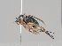  ( - KWi-739)  @11 [ ] CreativeCommons - Attribution Non-Commercial (2018) Marko Mutanen University of Oulu