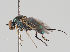  ( - KWi-743)  @11 [ ] CreativeCommons - Attribution Non-Commercial (2018) Marko Mutanen University of Oulu
