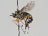  ( - KWi-748)  @14 [ ] CreativeCommons - Attribution Non-Commercial (2018) Marko Mutanen University of Oulu