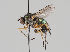  ( - KWi-749)  @14 [ ] CreativeCommons - Attribution Non-Commercial (2018) Marko Mutanen University of Oulu