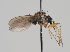  ( - KWi-755)  @11 [ ] CreativeCommons - Attribution Non-Commercial (2018) Marko Mutanen University of Oulu