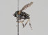  ( - KWi-757)  @11 [ ] CreativeCommons - Attribution Non-Commercial (2018) Marko Mutanen University of Oulu