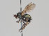  ( - KWi-758)  @11 [ ] CreativeCommons - Attribution Non-Commercial (2018) Marko Mutanen University of Oulu