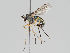  ( - KWi-765)  @11 [ ] CreativeCommons - Attribution Non-Commercial (2018) Marko Mutanen University of Oulu
