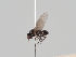  ( - KWi-789)  @11 [ ] CreativeCommons - Attribution Non-Commercial (2018) Marko Mutanen University of Oulu