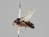  ( - KWi-792)  @11 [ ] CreativeCommons - Attribution Non-Commercial (2018) Marko Mutanen University of Oulu