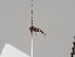  ( - KWi-812)  @11 [ ] CreativeCommons - Attribution Non-Commercial (2018) Marko Mutanen University of Oulu