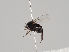  ( - KWi-820)  @11 [ ] CreativeCommons - Attribution Non-Commercial (2018) Marko Mutanen University of Oulu