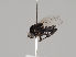  ( - KWi-823)  @11 [ ] CreativeCommons - Attribution Non-Commercial (2018) Marko Mutanen University of Oulu