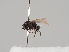  ( - KWi-833)  @11 [ ] CreativeCommons - Attribution Non-Commercial (2018) Marko Mutanen University of Oulu