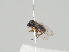  ( - KWi-861)  @11 [ ] CreativeCommons - Attribution Non-Commercial (2018) Marko Mutanen University of Oulu