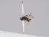 ( - KWi-868)  @12 [ ] CreativeCommons - Attribution Non-Commercial (2018) Marko Mutanen University of Oulu