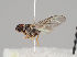  ( - KWi-887)  @13 [ ] CreativeCommons - Attribution Non-Commercial (2018) Marko Mutanen University of Oulu