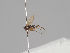  ( - KWi-937)  @11 [ ] CreativeCommons - Attribution Non-Commercial (2018) Marko Mutanen University of Oulu