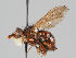  ( - KWi-946)  @11 [ ] CreativeCommons - Attribution Non-Commercial (2018) Marko Mutanen University of Oulu