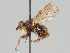  ( - KWi-947)  @11 [ ] CreativeCommons - Attribution Non-Commercial (2018) Marko Mutanen University of Oulu