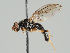  ( - KWi-965)  @11 [ ] CreativeCommons - Attribution Non-Commercial (2018) Marko Mutanen University of Oulu