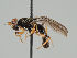  ( - KWi-966)  @11 [ ] CreativeCommons - Attribution Non-Commercial (2018) Marko Mutanen University of Oulu