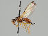  ( - KWi-978)  @11 [ ] CreativeCommons - Attribution Non-Commercial (2018) Marko Mutanen University of Oulu