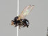  ( - KWi-983)  @11 [ ] CreativeCommons - Attribution Non-Commercial (2018) Marko Mutanen University of Oulu