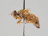  ( - KWi-997)  @11 [ ] CreativeCommons - Attribution Non-Commercial (2018) Marko Mutanen University of Oulu