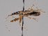  ( - MZH_KZ.7734)  @11 [ ] CreativeCommons - Attribution Non-Commercial (2018) Marko Mutanen University of Oulu