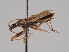  ( - MZH_KZ.7735)  @11 [ ] CreativeCommons - Attribution Non-Commercial (2018) Marko Mutanen University of Oulu
