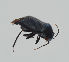 ( - MZH_KZ.7842)  @11 [ ] by-nc (2018) Marko Mutanen University of Oulu