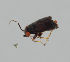  ( - MZH_KZ.7844)  @11 [ ] by-nc (2018) Marko Mutanen University of Oulu