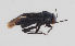  ( - MZH_KZ.7847)  @11 [ ] by-nc (2018) Marko Mutanen University of Oulu