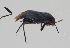  ( - MZH_KZ.7850)  @11 [ ] by-nc (2018) Marko Mutanen University of Oulu